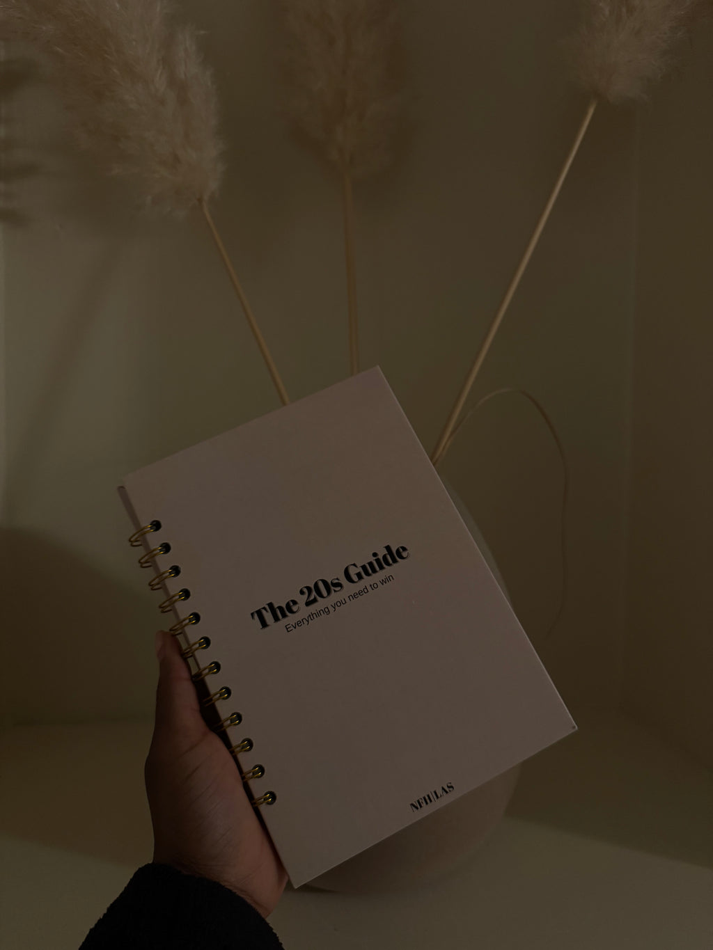 The 20’s guide (Beige)