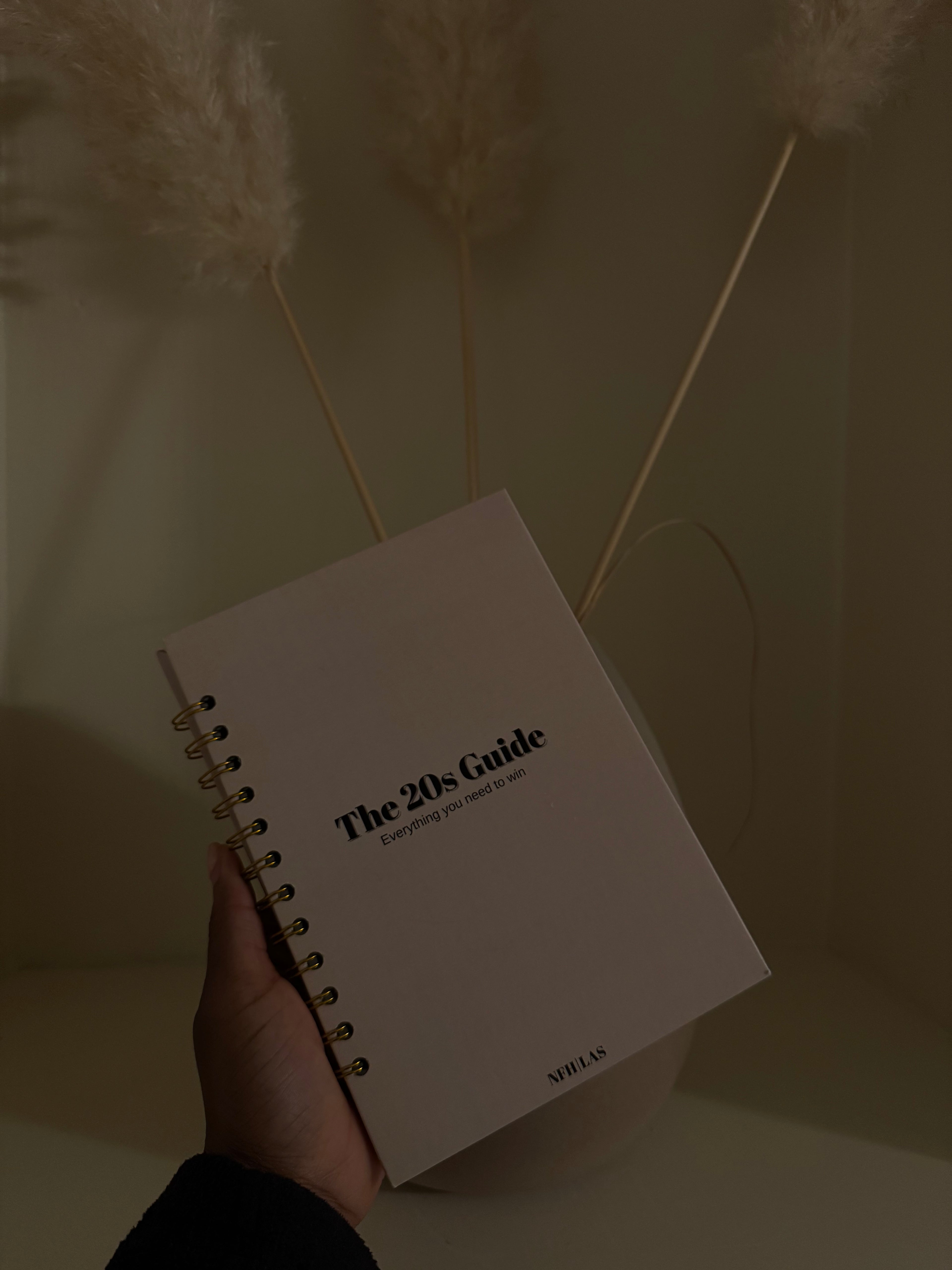 The 20’s guide (Beige)